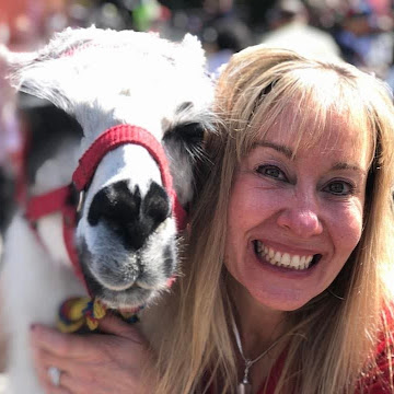 Headshot of Andrea Schacht, Instructor, Canton High School